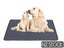 PTN NEW Dog Pee Pad Sale Sale Carousel 1
