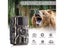 Mini Hunting Camera Wild Trail Game Cam Infrared Night Vision Outdoor Motion Carousel 1