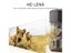 Mini Hunting Camera Wild Trail Game Cam Infrared Night Vision Outdoor Motion Carousel 7