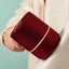 Portable Lint & Hair Remover with Germicidal Lamp - Red Carousel 3