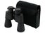 Binoculars Carousel 3