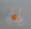 GEORGE AGIUS - EGG in CUP - Blown & Cast Glass Carousel 1