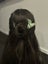 Jade hairpin Carousel 3