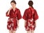 Dressing Gown Carousel 1