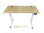 FlexiGO Electric Adjustable Standing Desk 120cm Carousel 3