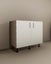 Kitchen Cabinet - Two Door Base Unit 700mm - Code B7 Carousel 1