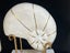 Vintage Large Nautilus Tessellated Stone Sculpture On Stand Carousel 3
