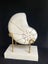 Vintage Large Nautilus Tessellated Stone Sculpture On Stand Carousel 1