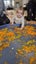 Mobile Childrens Sensory Play Business Carousel 11
