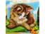 Latch Hook Kit Carousel 4