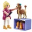 Playmobil Dog Groomer Carousel 2