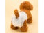 10PCS/Bag Dog Diapers Diaper For Dogs Pet Female Dog Disposable Leakproof Carousel 6