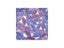 20Pcs Mixed Color Leaf Mosaic Tiles For DIY Coaster Lamp Wall Decoration Carousel 1