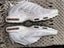 Nike TN Air Max Plus Carousel 1