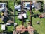 gallery view thumbnail
