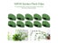10/100pcs Plant Fixture Clip Plant Climbing Wall Self-Adhesive Fastener Tied Carousel 3
