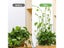 10/100pcs Plant Fixture Clip Plant Climbing Wall Self-Adhesive Fastener Tied Carousel 4