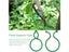 10/100pcs Plant Fixture Clip Plant Climbing Wall Self-Adhesive Fastener Tied Carousel 7