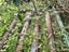 5 Antique Victorian Industrial Cast Iron lamp posts columns or stands Carousel 3