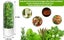 Herb Saver for Refrigerator Herb Storage Container Cilantro Container for Fridge Carousel 4