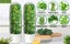 Herb Saver for Refrigerator Herb Storage Container Cilantro Container for Fridge Carousel 6