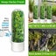 Herb Saver for Refrigerator Herb Storage Container Cilantro Container for Fridge Carousel 8