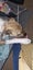 Pipi is searching for her forever home Carousel 10