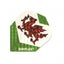Loading Image 1 of 1