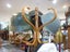 ANTIQUES/ART BUSINESS + BMW IN SUNNY NELSON Carousel 18