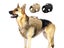 Tactical Dog Harness Pet Military Training Dog Vest German Shepherd Dog Harness Carousel 3