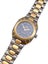 Omega Seamaster TITANE 120m Titanium & 18ct Yellow Gold Ladies Watch 596.0053 Carousel 6