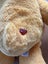 Friend Care Bear - Glitter Eyes - 2019 Blush Carousel 5