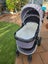 Redsbaby Pram / Pushchair Carousel 5