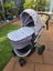 Redsbaby Pram / Pushchair Carousel 4