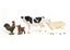Schleich - Farm World Starter Set 2025 Carousel 1