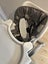 Baby dinner seat Carousel 4