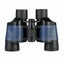 Binoculars Carousel 1