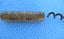12 old cork screws …Auction 1 of 2 Carousel 8