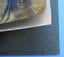Charles Goldie Maori chief prints x 2 Carousel 9