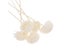 5pcs 3mm Flower Shape Rattan Reed Oil Diffuser Refill Stick Reed Diffuser Carousel 6