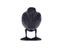 Black Plastic Crow Garden Bird Deter Scarer Scarecrow Mice Pest Control Carousel 1