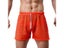 Mens Home Mesh Shorts Rope Belt Met Hollowed Out Aro Loose See Through Panties Carousel 3