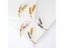 Brooches Badges Pin Carousel 5
