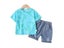 Boys Clothes Summer Fashion Crew Neck Children Tracksuit Dinosaur T-shirt Denim Carousel 8