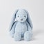 Jiggle & Giggle Pale Blue Bunny Medium Carousel 1