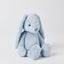 Jiggle & Giggle Pale Blue Bunny Medium Carousel 2