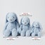 Jiggle & Giggle Pale Blue Bunny Medium Carousel 3