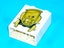®™DUPLO - 1 x White Brick 1 x 2 x 2 with Yellow Stanley Pattern (Disney Cars) Carousel 3