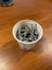 Screws Carousel 1