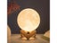Best-Selling Creative Features Assembled Moonlight Lamp Toy Family Living Room Carousel 1